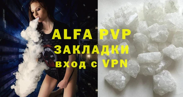 шишки Сатка